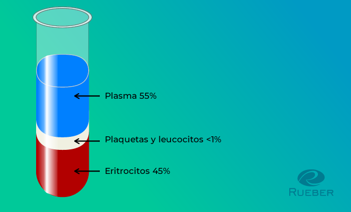 Plasma rico en plaquetas